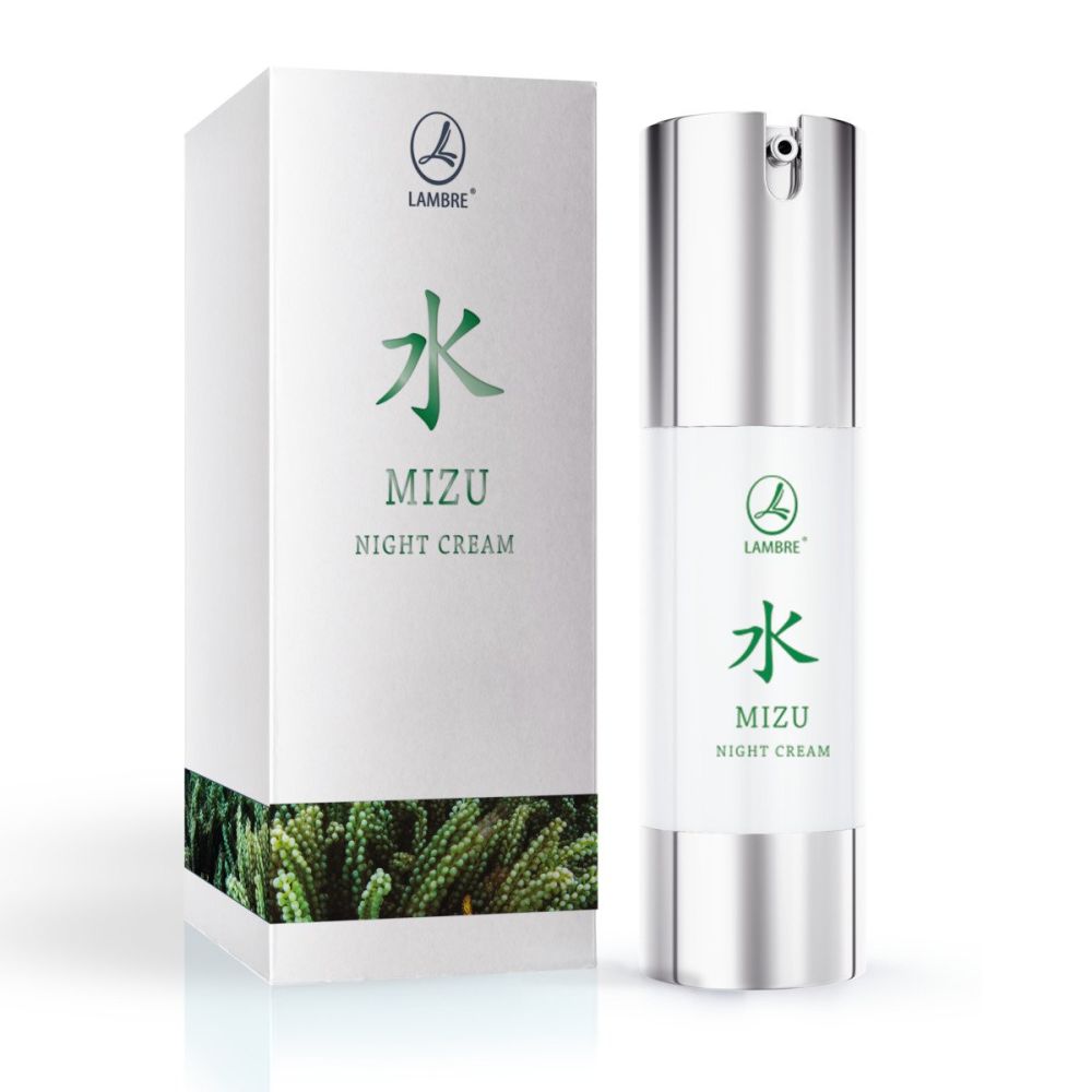 Купити Зволожуючий нічний крем для обличчя Mizu night cream в