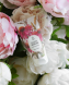 Сироватка для ніг з сечовиною та ехінацеєю FOOT SERUM Cosmepick 